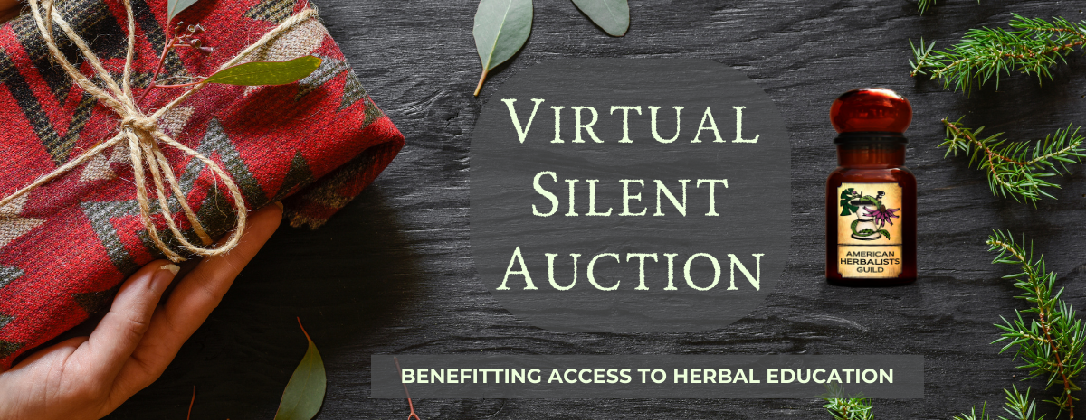 2023 Virtual Silent Auction
