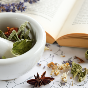 Active Constituents of Herbs with Mimi Hernandez