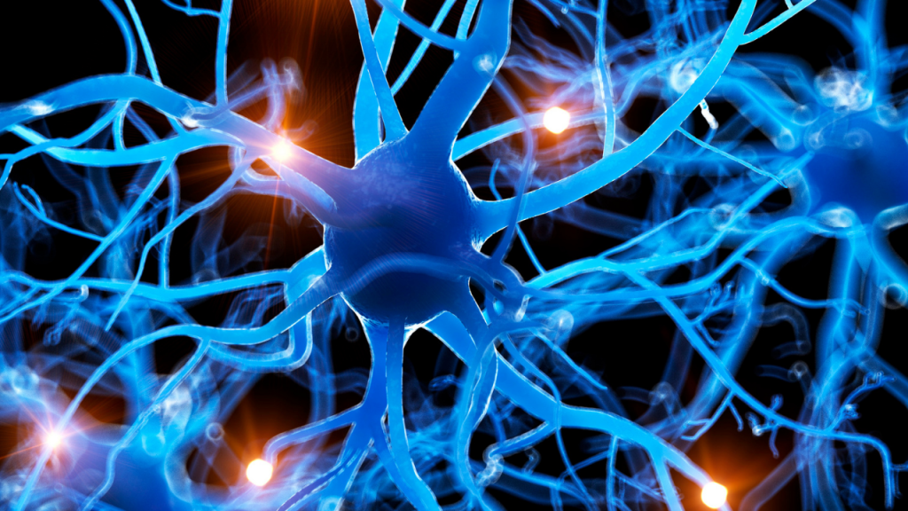 Neurology with KP Khalsa