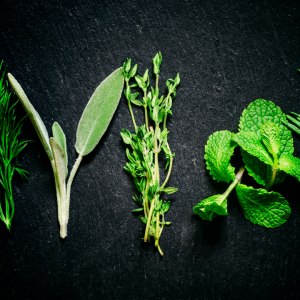 Herbs in the Greek Tradition