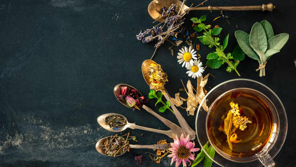 Building Sound Herbal Formulas