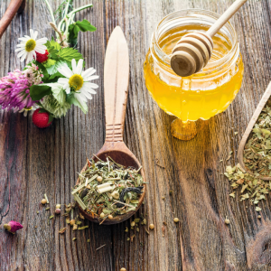 Planning for Success: Essential Tips for Herbal Practitioners