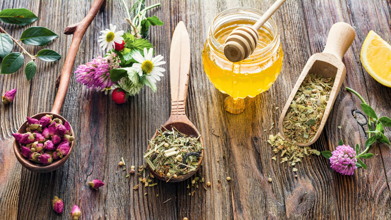Planning for Success: Essential Tips for Herbal Practitioners - Image 1
