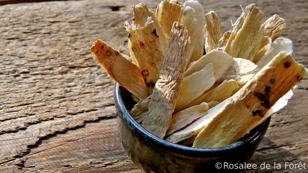 Clinical Skills, Part II: Formulation for the Clinical Herbalist