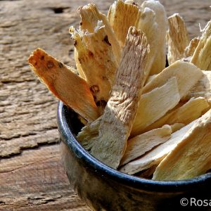 Clinical Skills, Part II: Formulation for the Clinical Herbalist