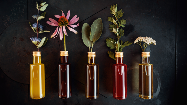 Business Protections for your Herbal Legacy with Christina Lynch
