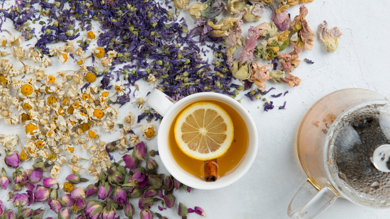 Formulating a Custom Gut Tea with Maria Noel Groves - Image 1