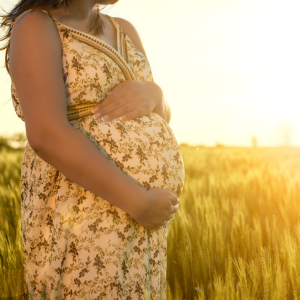 Herbal Support during the Childbearing Cycle