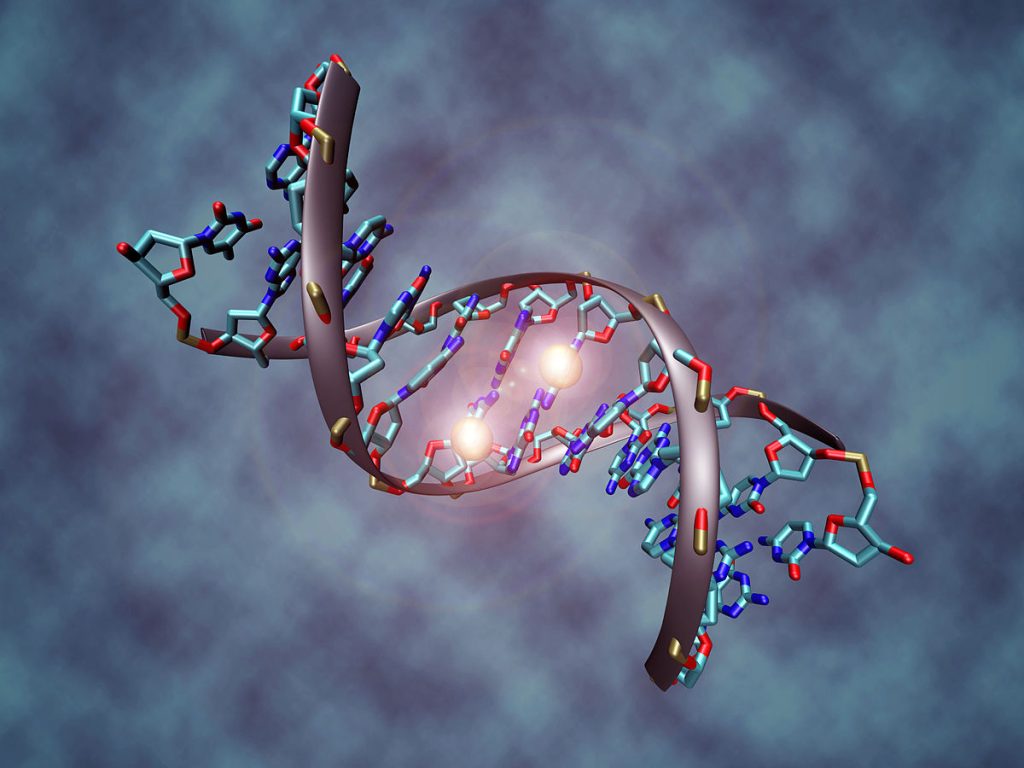 Managing Methylation in Clinical Practice